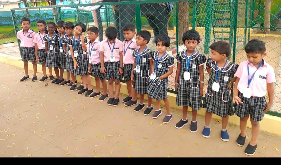 WhatsApp Image 2026-01-26 at 7.25.21 PM